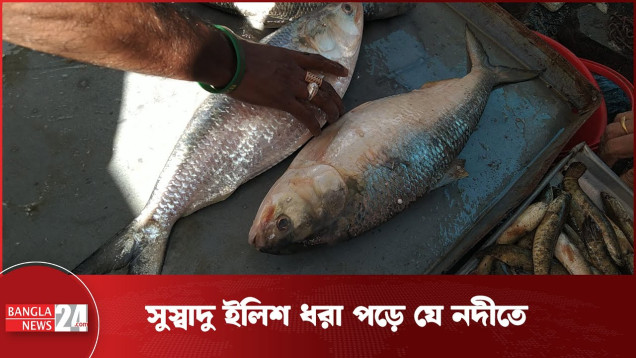 ভ্রমণ