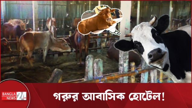 বাংলাদেশ