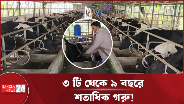 রাজনীতি