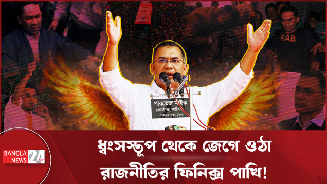 ফিচার