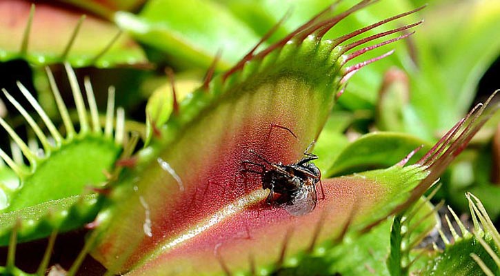 Xxx ofisda Porno talaba oqituvchi bilan jinsiy aloqada boladi