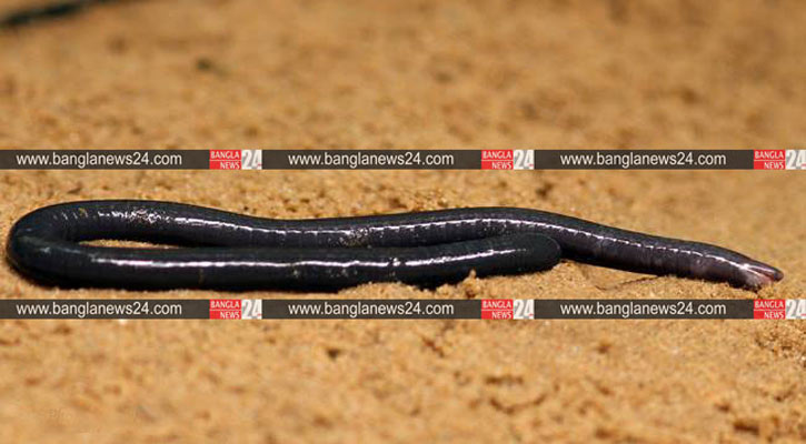 Moskvaning Matveevskiy tumani, Ochakovodagi fohishalar Ot seks porno