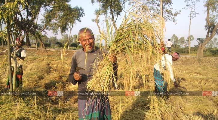 Uxlayotgan yalangoch ayollar fotosuratlari Yalangoch turmush ortoqlar