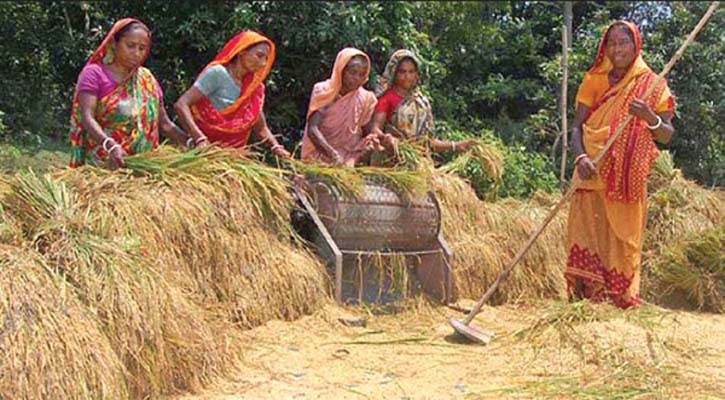 অঘ্রাণে নবান্ন উৎসবে