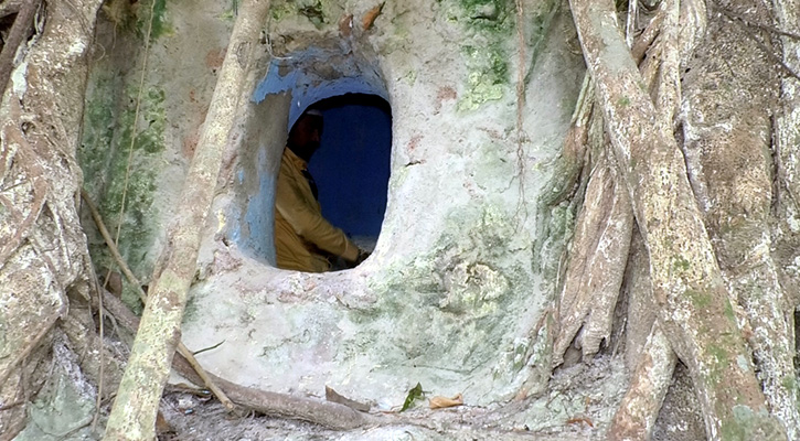 Katta ayol kokrak bilan porno