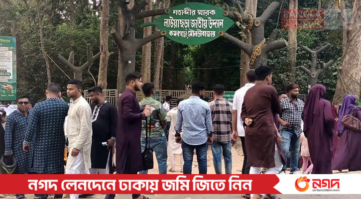 Ayol klitori porno onlayn