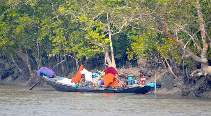 বাদাবনের গহিন জীবনে