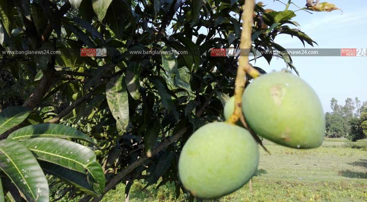 Qishloqda onalar bilan jinsiy aloqa mobil telefonda video Katta dumba va katta yaralar porno