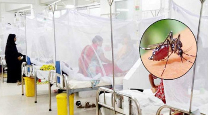 ডেঙ্গুতে একজনের মৃত্যু, হাসপাতালে ভর্তি ৭৯