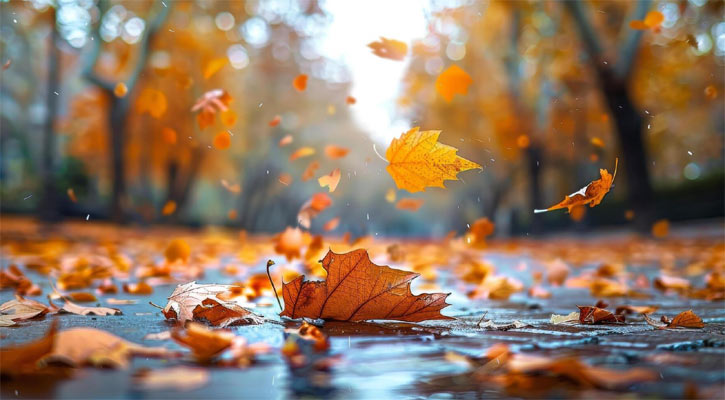 গাছের পাতার মতো গুনাহ ঝরে যে আমলে