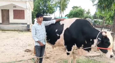 চবি ছাত্র সুরতের ১৪ লাখ টাকার মহারাজ!
