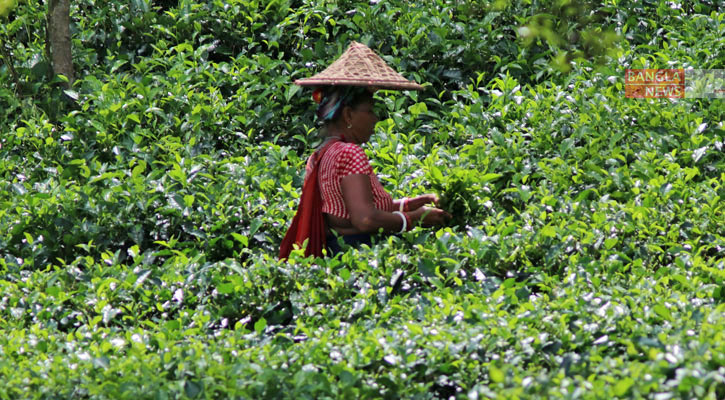 Jum ichida bir necha marta porno video Porno yulduz Agnes va uning filmlari