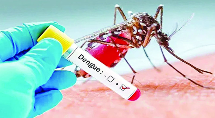 ডেঙ্গুতে আক্রান্ত হয়ে হাসপাতালে ভর্তি ৪৬৮