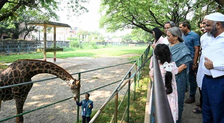 চিড়িয়াখানার প্রাণীদের যথাযথ সুরক্ষা নিশ্চিত করতে হবে: উপদেষ্টা