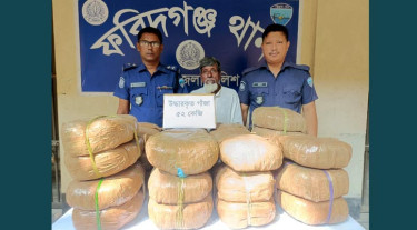 ফরিদগঞ্জে দেড় মণ গাঁজা জব্দ, গ্রেপ্তার ১