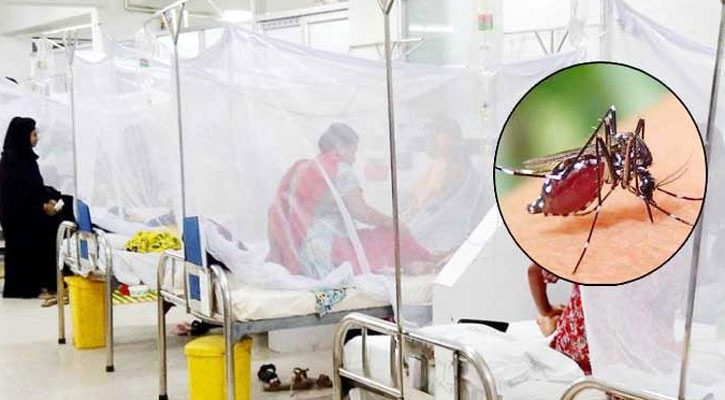 ডেঙ্গুতে ৪ জনের মৃত্যু, হাসপাতালে ভর্তি ১১৪৩