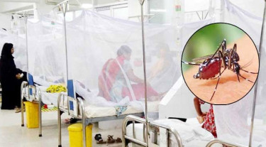 ডেঙ্গুতে ৪ জনের মৃত্যু, হাসপাতালে ভর্তি ১১৪৩