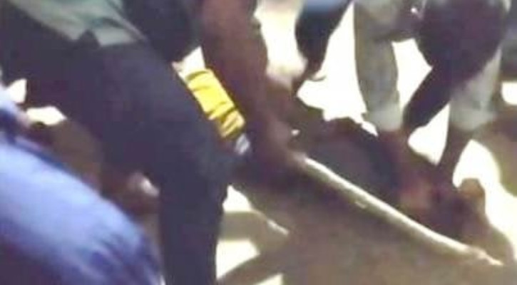 সালিশে ডাবের মূল্য ২ লাখ, চুরির অপবাদে ৩ কিশোরকে নির্যাতন