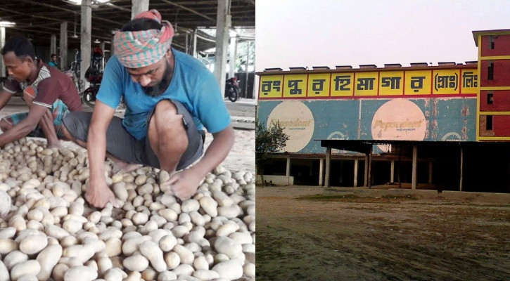 বিক্রি হয়নি হিমাগারে মজুদ করা আলু, লোকসানে চাষি-ব্যবসায়ীরা