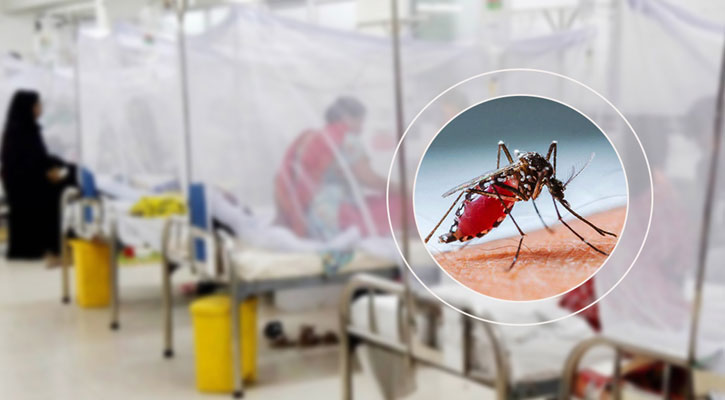 ডেঙ্গুতে আক্রান্ত হয়ে হাসপাতালে ভর্তি ৫০৬