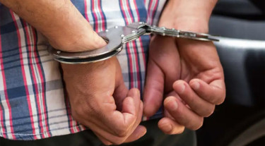 রাজধানীতে আ.লীগের ঝটিকা মিছিল থেকে গ্রেপ্তার ২৯