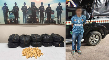 ২০ কেজি গাঁজাসহ মাদক কারবারি গ্রেপ্তার