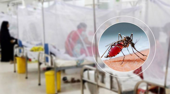 ডেঙ্গুতে পাঁচজনের মৃত্যু, হাসপাতালে ভর্তি ১১৪৭