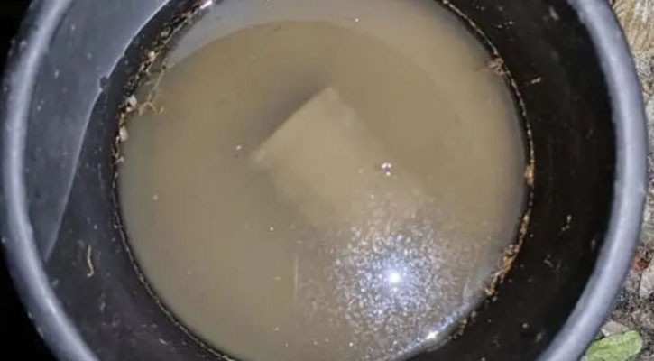 শরীয়তপুরে বিএনপির সভাস্থলে হাতবোমা বিস্ফোরণ