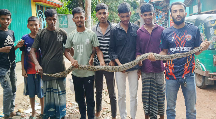 বোয়ালখালীতে জালে আটকা অজগর উদ্ধার