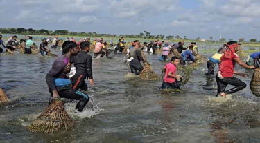 কলারোয়ায় ঐতিহ্যবাহী পলো বাওয়া উৎসব