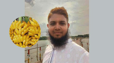 কলা ঘুস খাওয়া যশোর জেলা পরিষদের সেই কর্মচারী অবশেষে বরখাস্ত