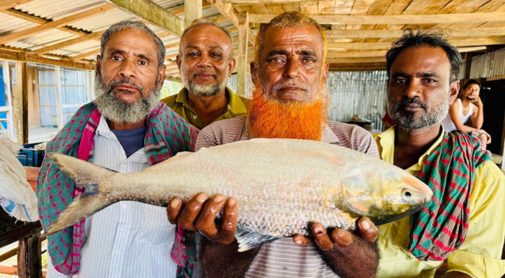 এক ইলিশের দাম ১০ হাজার ৭০০ টাকা