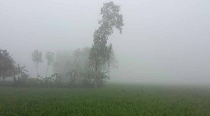 ১৬ ডিগ্রির ঘরে তাপমাত্রা, কমতে পারে আরো