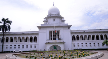 তত্ত্বাবধায়ক সরকারব্যবস্থা ফেরাতে আপিলের রায় ২০ নভেম্বর