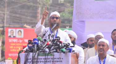 নভেম্বরে বাকশালপন্থিদের রাস্তায় নামতে দেব না: মামুনুল হক