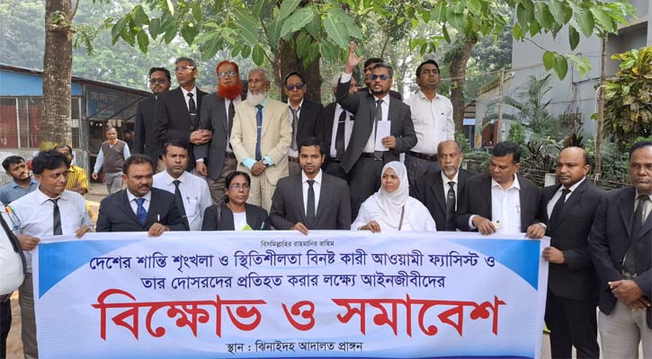 নৈরাজ্যের প্রতিবাদে ঝিনাইদহে আইনজীবীদের বিক্ষোভ