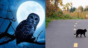 প্রচলিত কিছু কুসংস্কার, যা বর্জনীয়