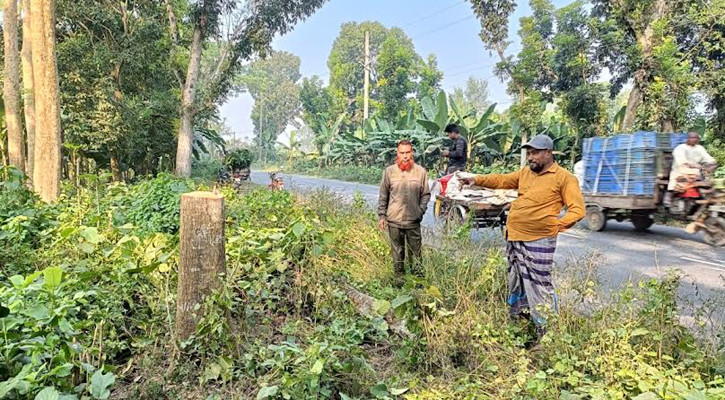 ঝিনাইদহে সড়কে গাছ ফেলে ডাকাতি