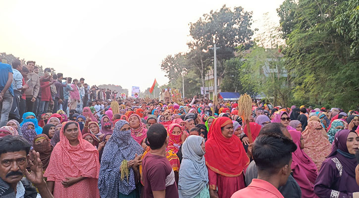 গাংনীতে ধানের শীষের বিশাল শোডাউন