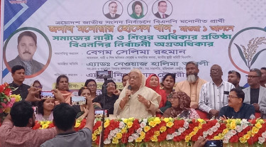 দেশ বাঁচাতে ধানের শীষে ভোট দিন: সেলিমা রহমান