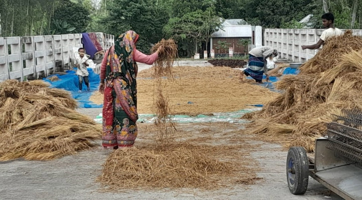 একশ মিটারের মধ্যে ৬ কোটি টাকার ২ সেতু, কাজে আসছে না ১টিও