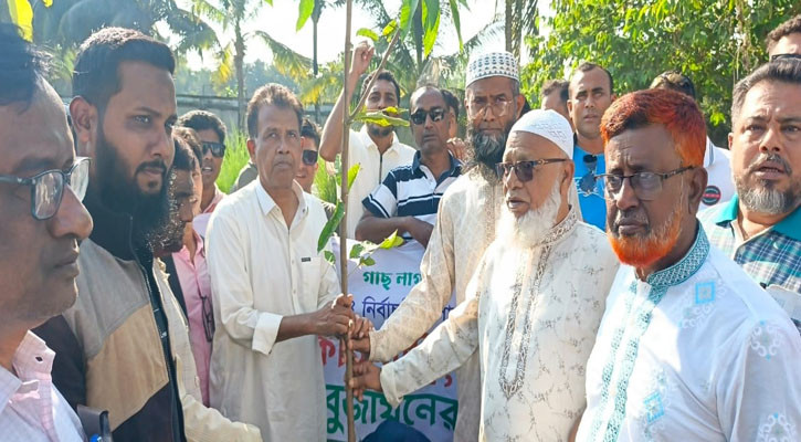 নির্বাচনী প্রচারণায় প্রতিটি বাড়িতে একটি করে ফলের চারা দিচ্ছেন আজিজুল বারী হেলাল