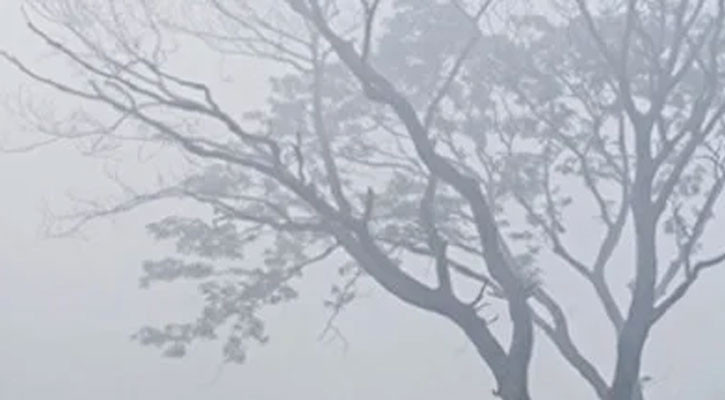 ভোরে মাঝারি কুয়াশা পড়ার সম্ভাবনা