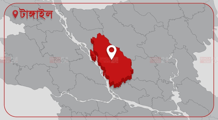 সখীপুরে মেয়েকে হত্যার পর মায়ের আত্মহত্যা