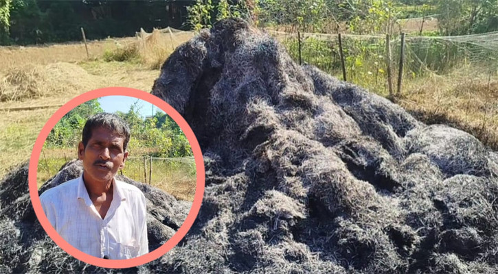 এক রাতেই নিঃস্ব কৃষক সেলিম