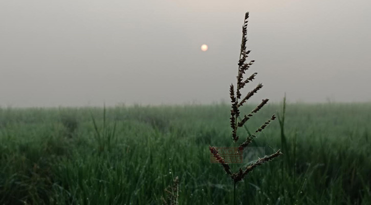 দেশের সর্বনিম্ন তাপমাত্রা দিনাজপুরে: শীতের প্রভাব বাড়ছে উত্তরাঞ্চলে