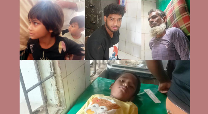 লাখাইয়ে পাগলা কুকুরের কামড়ে শিশুসহ আহত ১৫