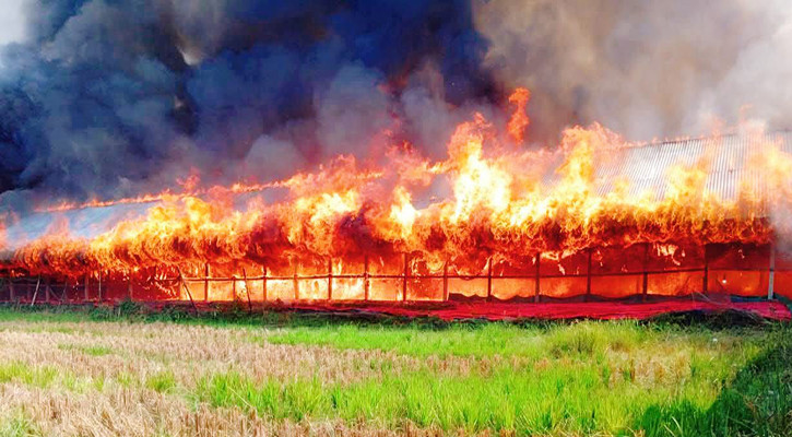 আগুনে পুড়ে গেল আড়াই হাজার মুরগি