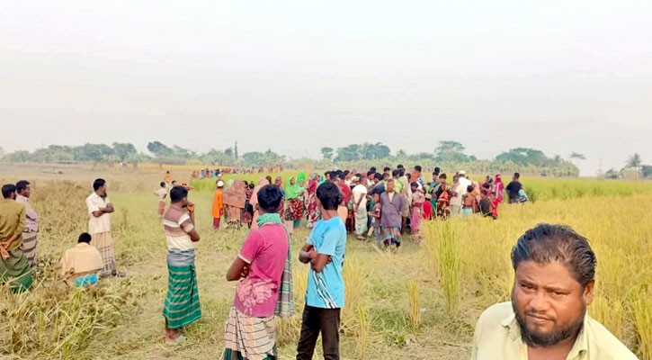 হাইমচরে অন্তঃসত্ত্বা স্ত্রীকে হত্যা, স্বামী আটক