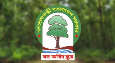 বন অধিদপ্তরে দুর্নীতির ‘ওপেন সিক্রেট’, শাস্তির বদলে পদোন্নতি